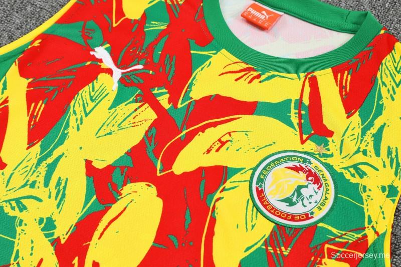 طقم من سترة تدريب بلا أكمام وشورت بنقشة زهور استوائية خضراء من 25/26 Senegal